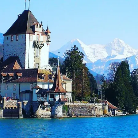 Thun Alps Scenic Views And Concierge By Swisshut *