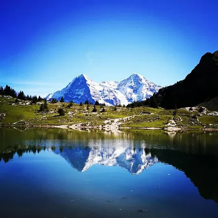 Thun Alps Scenic Views And Concierge By Swisshut בקתה