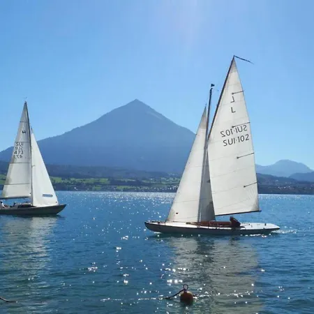 Thun Alps Scenic Views And Concierge By Swisshut Chalet Sigriswil