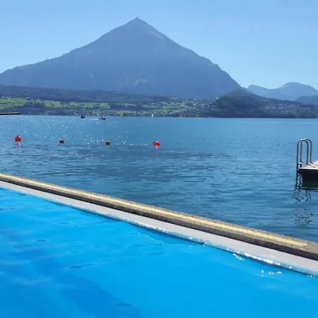 Thun Alps Scenic Views And Concierge By Swisshut * זיגריזוויל