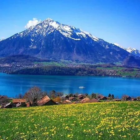 Thun Alps Scenic Views And Concierge By Swisshut בקתה
