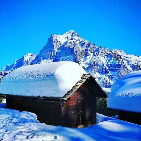 בקתה Thun Alps Scenic Views And Concierge By Swisshut *
