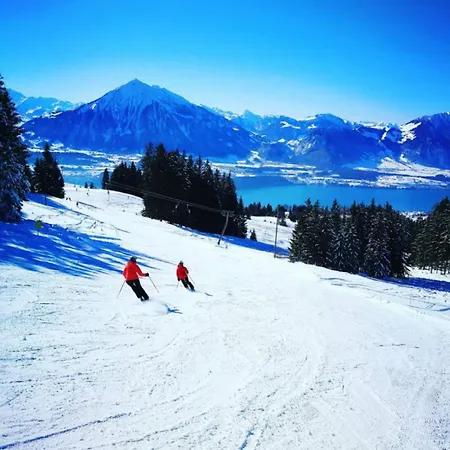 בקתה Thun Alps Scenic Views And Concierge By Swisshut *