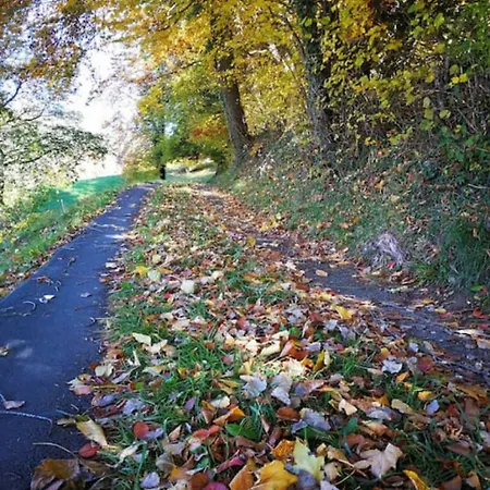 Thun Alps Scenic Views And Concierge By Swisshut Chalet Sigriswil