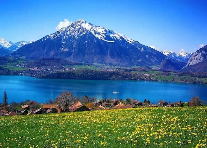 Thun Alps Scenic Views And Concierge By Swisshut Alpehytte