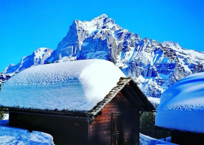 Alpehytte Thun Alps Scenic Views And Concierge By Swisshut *