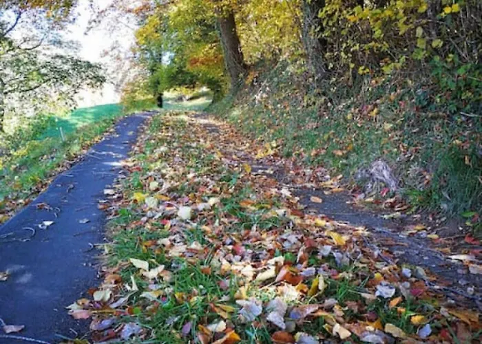 Thun Alps Scenic Views And Concierge By Swisshut Alpehytte Sigriswil